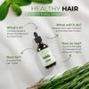 Ghori Rosemary Mint & Biotin Hair Oil Pure Essential Oil for Hair Thickness, Ideal for Men & Women - 100% Natural, 2 Fl.oz.(59ml)