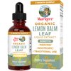 MaryRuth Organics Herbal Supplement Drops | Lemon Balm Leaf | Immune Support | Vegan | Non-GMO | 1 Fl Oz