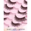 Natural Lashes Mink Natural Eyelashes False Eyelashes Natural Look False Lashes Wispy Eye Lashes Cat Eyelashes Fake Lashes KD02