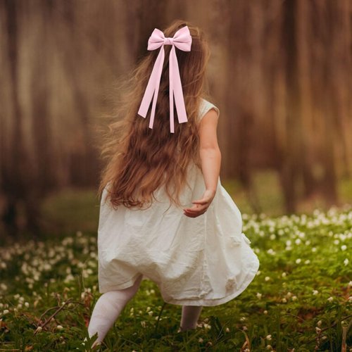 Ambesi Ribbon Hair bow Clips, 2PCS Silky Satin Hair Bows Hair Clip Pink Blue Hair Ribbon Ponytail Holder Accessories for Women Girl Long Tail Hair Bow Clips Hair Barrette Dress Up Accessories