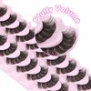 Losha Eyelashes DD Curl Russian Strip Lashes Wispy False Eyelashes that Like Lash Extensions 10 Pairs Soft Fake Lashes Pack (D03)