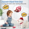 White Labrador Walking Dog Barking Dog for Child Kid Licking Puppy Talking Dog with Leash, Interactive Robot Dog Tail Wagging Singing Plush Lab Dog Stuffed Dog Pretend Dress Up Christmas Girl Boy Gift