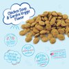 Charlee Bear Chicken Soup & Garden Veggie Dog Treats 16 oz. bag