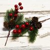 Pine Cone Red Berry Picks Stems Crafts Branch Christmas Wreath - 10Packs, Holly Artificial Evergreen Branches Tiny Pine Cones Picks Décor Floral Picks for Christmas Flower Wreaths DIY Xmas Gifts