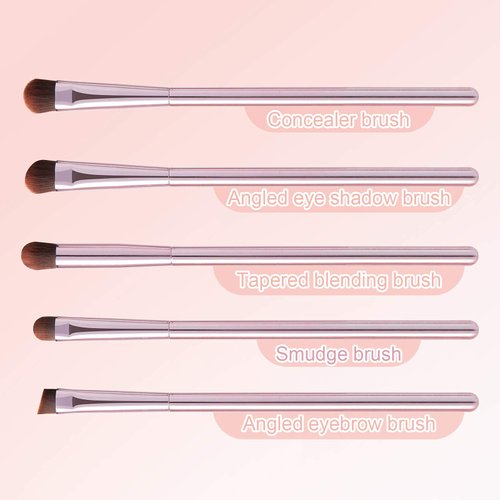 Eyeshadow Brushes,5pcs Eye Makeup Brush Set with Eyeliner Brush Eyeshadow Brush Concealer Brush Blending Brush Eyebrow Brush with Case, Pink Makeup Brushes for Travel