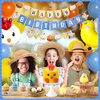 Pirese Chicken Birthday Decorations, Chicken Party Decorations, Chicken Decorations for Party | Chicken Party Supplies | Chick Party | Baby Chicken Party Decorations | Chicken Balloons | Bday Banner
