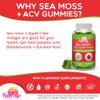 Sea Moss Gummies with Apple Cider Vinegar, Bladderwrack, and Burdock Root Organic- Sea Moss Gummies for Adults and Kids- Vegan, Organic, Irish Seamoss for Detox Cleanse, Seamoss and ACV – 70 Ct