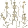 DINESIL 6 Packs Posable Halloween Skeleton Decorations, 16" Full Body Halloween Plastic Skeleton with Movable Joints for Halloween Haunted House Props Spooky Scene Party Decorations