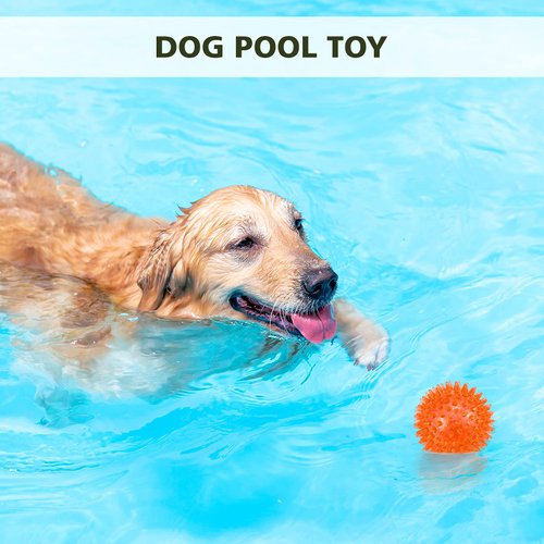 petizer 3 Pack 2.5” Squeaky Dog Toy Balls, Floating Dog Pool Balls, Spiky Dog Balls Water Toys, Durable Interactive Fetch Toys for Puppy, Dog Chew Toys for Teething (2.5", Small Dog)