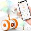 Cat Toys Cat Remote Control Toy, APP Bluetooth Connect Remote Control Cat Toys for Indoor Cats Electronic Automatic Moving Mouse Cat Toy with 6 Lights USB Rechargeable