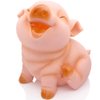 H&W Cute Pig Coin Money Bank, Shatterproof Piggy Bank, Creative Money Bank, Can Store 1000 Coins, Best Bitrthday Gift, Squint Piggy (WK7-D2)