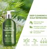 Roycederm Tea Tree Antifungal Shampoo: Folliculitis Shampoo for Dry Scalp, Dandruff, and Itchy Scalp - Medicated Clarifying shampoo with Tea Tree Oil, Paraben & Sulfate Free
