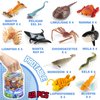 Sea Animals Toys With Gift Box, 48 Piece Mini Vinyl Plastic Ocean Animal Figure, Sea Creatures Themed Sensory Bins, School Project, Birthday Cupcake Topper Party Supplies, Preschool Toys for kids
