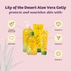 Lily Of The Desert Gelly Moisturizer - 99% Organic Aloe Vera Gel for Skin, After Sun Care with Aloe, Vitamin E Oil, and Vitamin C for Sunburn Relief, 12 Fl Oz