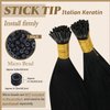 YoungSee Itip Human Hair Extensions Black 20Inch I Tips Hair Extensions Real Human Hair Black I Tip Extensions Jet Black I-Tip Hair Extensions Real Human Hair Natural Pre Bonded Hair 1g/s 50g