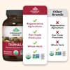 Organic India Triphala Capsules Herbal Supplement - Immune System Support, USDA Certified Organic Triphala Powder, Non-GMO - 180 Capsules