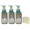 Bath & Body Works Holly Berry Spruce 3 Pack Gentle & Clean Foaming Hand Soap Bundle with a Natural Oats Sample Soap
