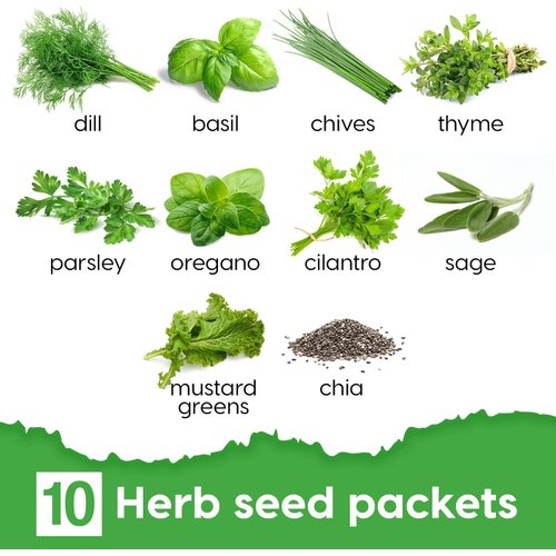 REALPELATED Indoor Herb Garden Kit 10 Non-GMO Herbs- Window Herb Garden Kit with 10 Reusable Pots, Herbs, Drip Trays, Soil Discs - Window Plant Growing Kit - Kitchen Herb Garden Kit Herb Garden Gift