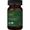 Global Healing Center Iron Supplement for Women and Men - Blood Builder Vitamin Capsules with Curry Plant Extract - Natural Energy to Combat Fatigue, Brain Health & Oxygen Level Support - 60 Pills