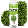 Boxwood Fertilizer, Complete Liquid Boxwood Shrub Plant Food, 8 oz (250mL)