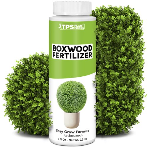 Boxwood Fertilizer, Complete Liquid Boxwood Shrub Plant Food, 8 oz (250mL)