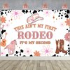 Wonmelody 2nd Rodeo Birthday Party Decorations 5*3ft 2nd Rodeo Birthday Party Backdrop for Girl Not My First Rodeo 2nd Birthday Party Decorations Groovy Western Cowgirl 2nd Birthday Decorations