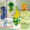 Hamiledyi Natural Wood Block Bird Cage Toys Parrot Chewing Toy Orange&Apple& Banana&Grapes Shaped Hanging Foraging Toy for Small&Medium Birds Parakeets Cockatiels,4pcs