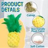 Andiker 2PCS Cat Chew Toys, Cute Pineapple Shape Soft Cat Plush Toys with Smooth Skin-Friendly Plush Fabric Containing Catnip Entertaining Interactive Cat Toy for Indoor Cats and Kitten