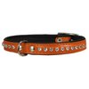 Dogs My Love Rhinestone Genuine Leather Dog Collar (Orange, 8"-9.5" Neck)