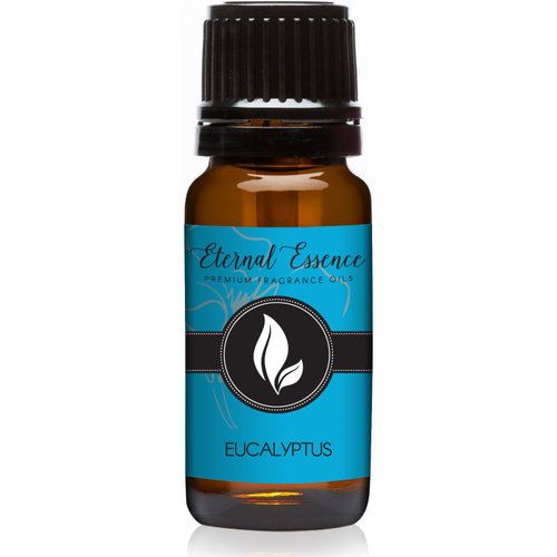 Eucalyptus Premium Grade Fragrance Oil - 10ml - Scented Oil