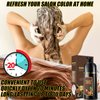 Hair Dye Shampoo 3 in 1, Herbal Shampoo Hair Dye for Women Men, Grey Coverage Shampoo 16.9fl oz (Chestnut Brown)