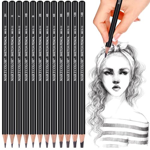 YUANCHENG Professional Drawing Sketching Pencil Set - 12 Pieces,Graphite,(14B - 2H), Graphite Pencils for Drawing, Shading Pencils for Sketching, Art Pencils for Drawing and Shading