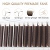 NATUHANA W Shaped Clover Eyelash Extension 4D Premade Fans 0.07mm L Curl 8-14 Mixed Tray Volume Lash Cluster W Lashes Supplies Lash Extensions (4D brown;0.07 L, 8-14 MIX)