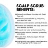 Dead Sea Salt Scalp Scrub, Clarifying Scrub with Plant-Based Essences, Scalp Exfoliator for Oily Scalp, Dandruff & Build-Up Remover, Itchy Scalp Relief Hair Treatment, Nourishing Detox Hair Care