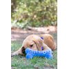 Huxley & Kent for Dogs | Joy Vey Bone | Hanukkah Dog Toy with Squeaker | Funny Dog Toy Gift | Fun, Durable, and Safe | H&K Squeaky Dog