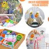 HOSUKU Colorful Bird Foraging & Shredding Toys Box – Safe Bird Toys for Parakeets, Cockatiels, Conures & Small Birds, Perfect for Christmas & New Year