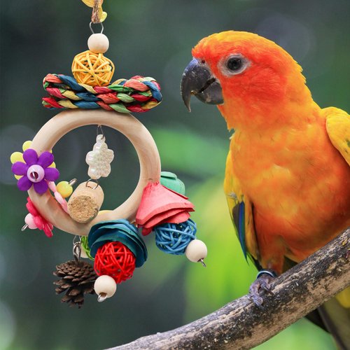 Neeenn Bird Chewing Toys, Hanging Natural Materials Parrot Chew Toy, Bird Cage Accessories, Suitable for Small to Medium Birds Budgie Lovebirds Conures Parakeets Cockatiels