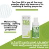 The Eye Doctor Tea Tree Lid Cleanser 100ml – Daily Eyelid Hygiene Remove Debris & Make-up Eyelid Eyelashes – Suitable for Sensitive Eyes – Contains Tea Tree Oil Argan Oil Coconut Oil & Micellar Water