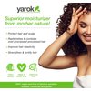 Yarok - Feed Your Sunshine Organic Sun Repair Hair Serum - Moisturize, Transform & Protect - Protect Hair & Scalp From Sun & Pool Damage - 100% Vegan - Gluten, Sulfate, Paraben & Cruelty Free - 1oz