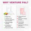 Venture Pal Electrolyte Drink Mix – Mixed Berry Flavor-New