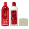 Bath & Body Works Winter Candy Apple Shampoo and Conditioner Bundle with a Natural Oats Bar Soap