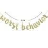 Worst Behavior Gold Glitter Banner, Drake Party Decorations, Birthday Photo Backdrop(Gold)