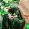 Inhand Fleece Throw Blankets, Super Soft Flannel Cozy Blankets for Adults, Washable Lightweight Blanket for Couch Sofa Bed Office, Warm Plush Blankets for All Season (50"×60", Green)