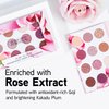 Physicians Formula Rosé All Play Eyeshadow Makeup Palette, Bouquet, 12 Pan Eye Make Up