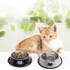 Cat Bowls for Food and Water,2PCS Rapsrk Non-Slip Stainless Steel Small 8 Oz Pet Bowl with Removable Rubber Base Dog Bowl,Stackable Puppy Dishes with Cute Cat Painted