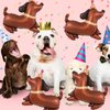 5Pcs Dog Birthday Balloons Dachshund Shaped Puppy Dogs Foil Mylar Balloons for Pet Puppy Dog Animal Birthday Lets Pawty Themed Pet Party Decoration Supplies