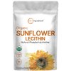Micro Ingredients Organic Sunflower Lecithin Powder, 1 Pound, Sustainable Farmed, Cold Pressed, Rich in Phosphatidyl Choline and Protein, Making Liposomal Vitamin C, Lactation Supplement, Non-GMO
