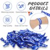Taiyin 68 Pcs Cheer Hair Ties Bulk Cheer Bracelets Cheerleader Gifts Motivational Gifts Wristbands for Cheer Squad Party Favors, Pom Design(Blue)