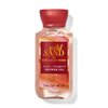 Bath & Body Works Travel Size Shower Gel 3.0 oz (WIld Sand)