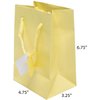 Novel Box Ivory Gift Bags with Handles 10 Pack Small Paper Bags - Shopping Bags Bulk Gift Bags Business, Shopping, Birthday Paper Shopping Bags - Shopping Bags for Groceries